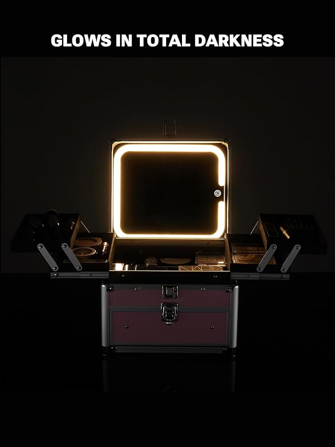Qislee Makeup Box with Drawer and Four Trays, A Detachable Lighted Mirror, Waterproof Travel Train Case, Cosmetic Organizer and Makeup Suitcase with Magnetic LED Mirror(ICY Pink)