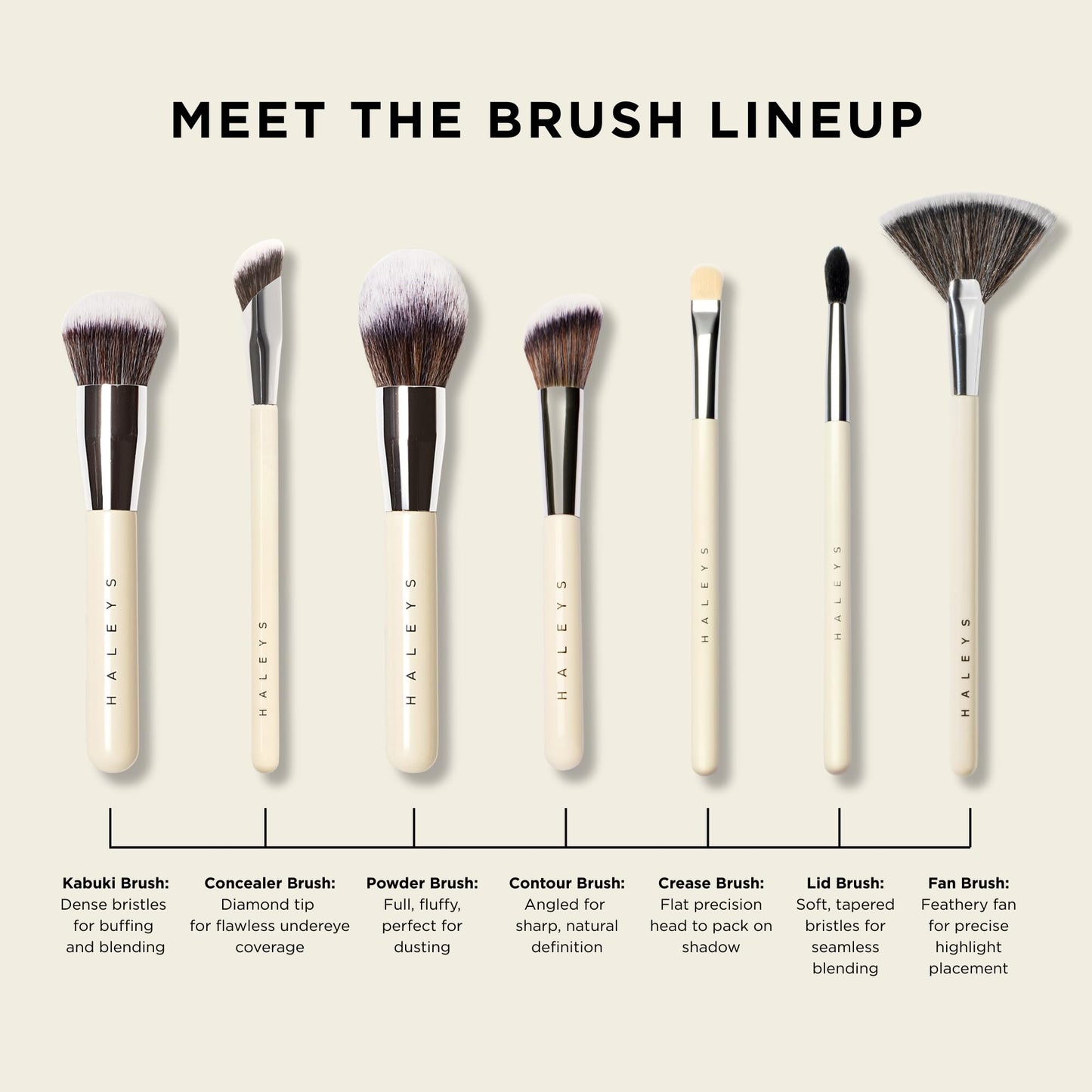 HALEYS Beauty Angled Contour Makeup Brush for Setting Powder, Cream, Foundation, Blush, Highlighter, Concealer, and Bronzer, Makeup Bag Essentials, Soft & Flexible Bristles, Vegan & Cruelty Free