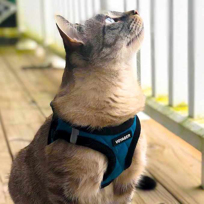 Best Pet Supplies - All Weather Mesh/Plush, Reflective, No Pull Harness for Small, Medium Dogs, Cats - Secure with Hook & Loop Fastener, Buckle, Double D-Rings - Turquoise Plush, L