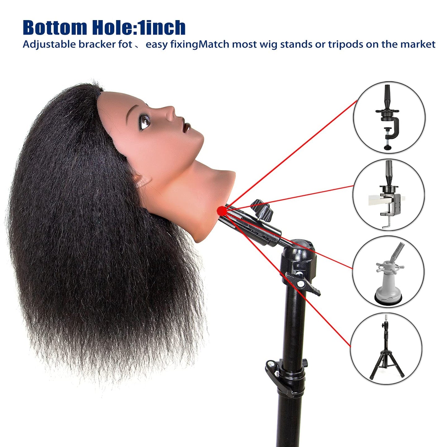 Mannequins Head 16" 100% Real Human Hair Braiding Styling Head With Stand