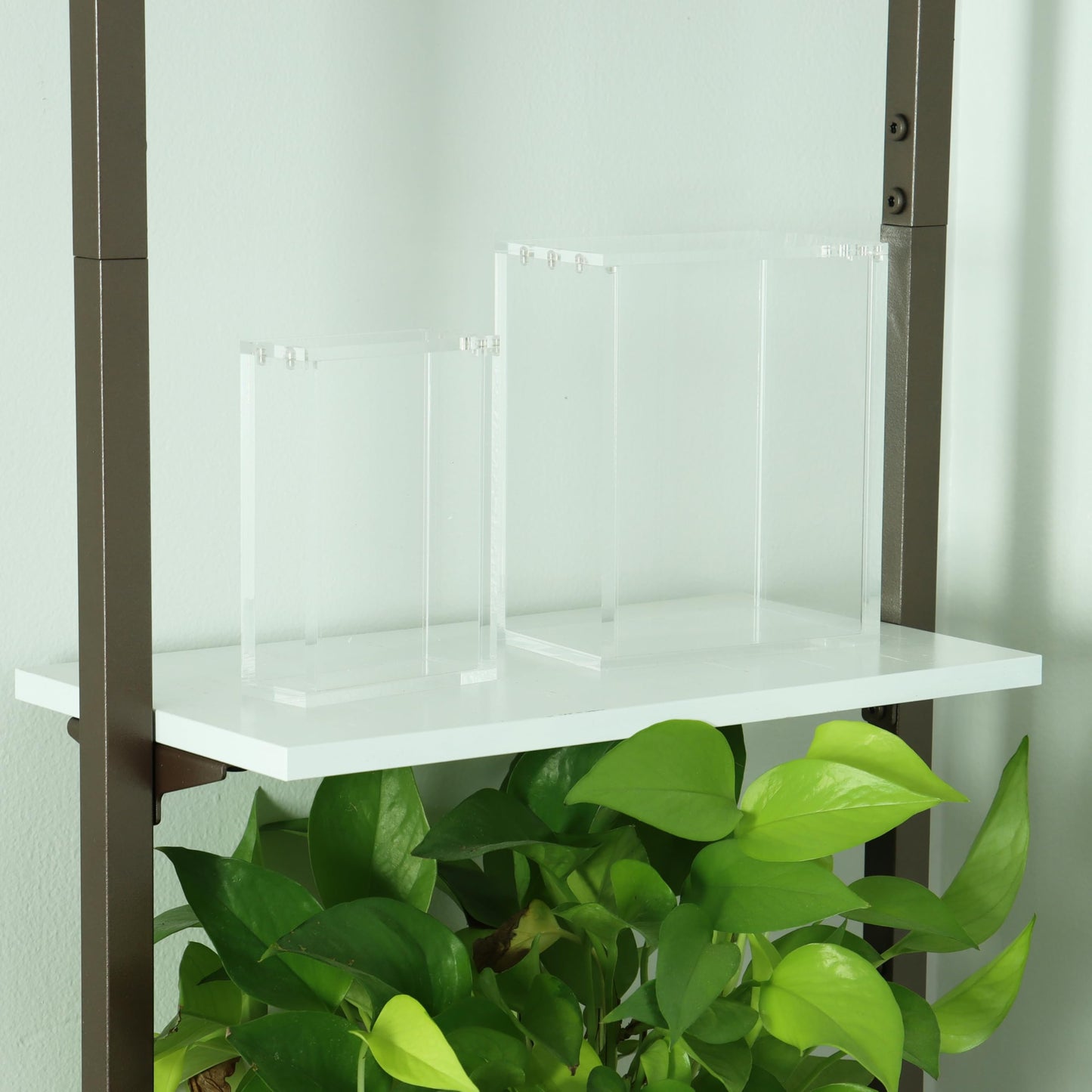 Display Case for Mini-tin, Collector Booster Box with Easy Magnetic Lid, Display Cases for Collectibles, mini-tin Not Included