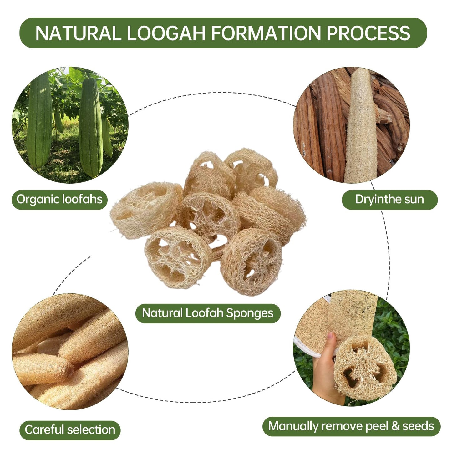 Natural Loofah Sponge for Soap Making, 20 Pack Organic Loofahs Slices Cuts Set, Loofa Exfoliating Body Scrubber, Shower Sponge Luffas for Women and Men