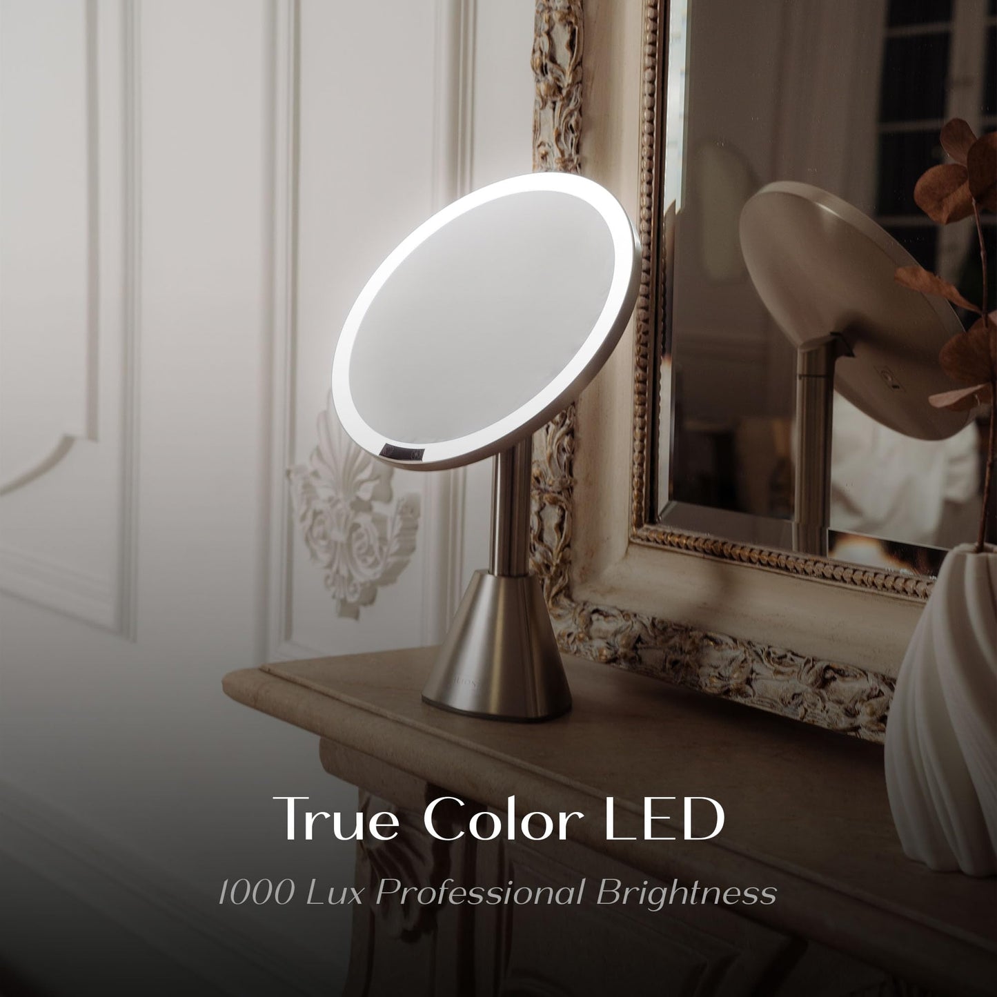 Ilios Lighting 9" Lighted Makeup Mirror with 5X Magnification – Rechargeable LED Vanity Mirror, Adjustable Lighting (3200K–6500K), 1000 Lux Brightness, Stepless Dimming (Silver)