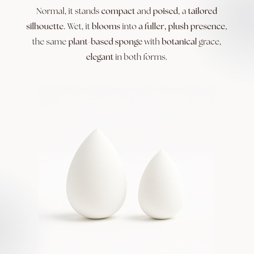 Bumfuzz Pearl Beauty Sponge - Plant-Based, Eco-Friendly, Cruelty-Free, Dye-Free & Latex-Free Blender, Biodegradable & Natural Makeup Sponge, Makeup Blender, Perfect for Liquid & Powder (3 Count)