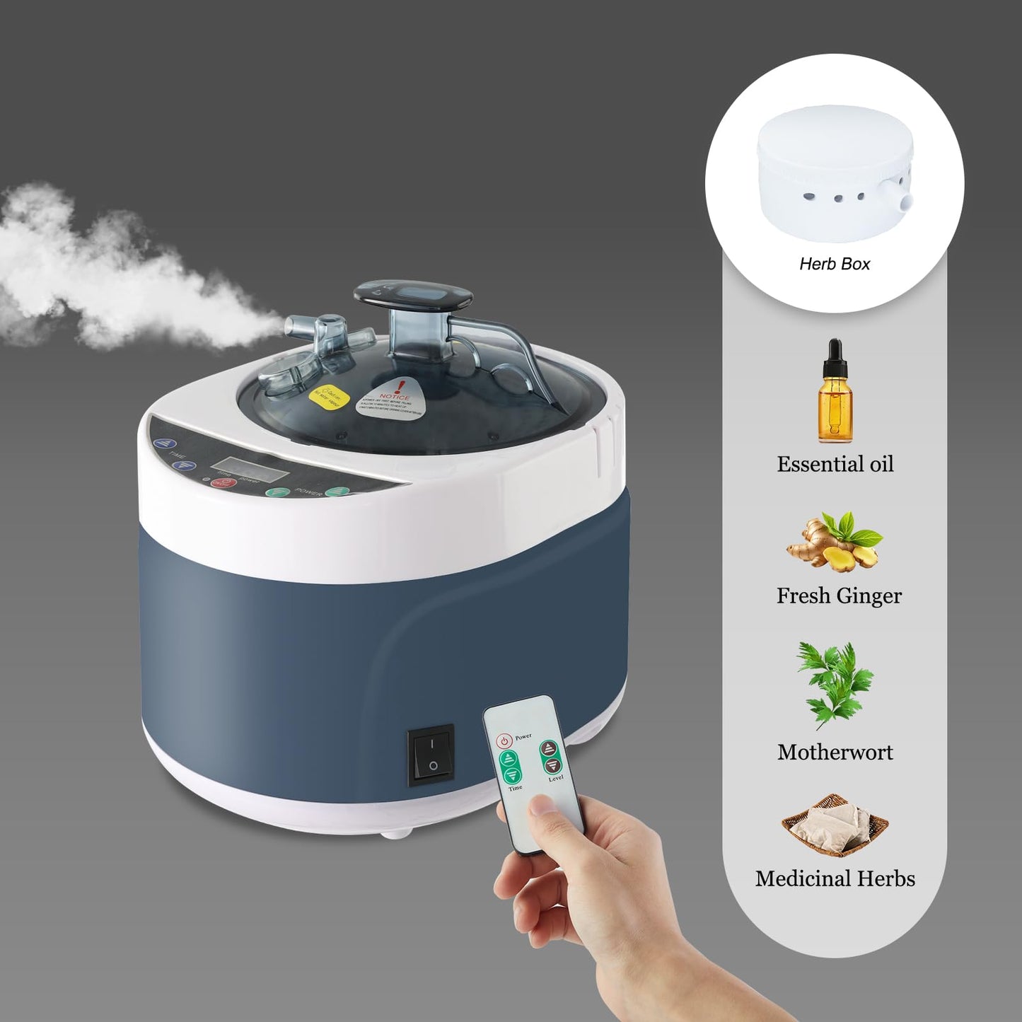 TaTalife Sauna Steamer, Portable Steam Generator with Remote Control, 4 Liters Stainless Steel Sauna Steamer Pot, Sauna Steam Machine with Timer Display, 1500W Home SPA Fumigation Sauna Steam Machine