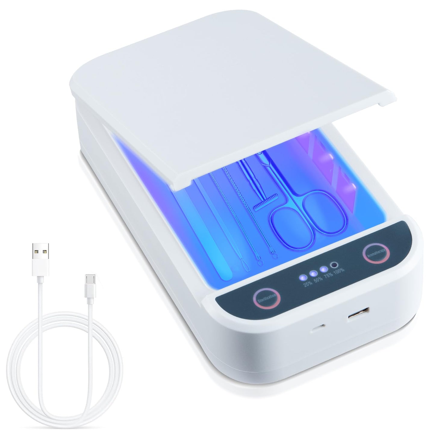 Soiiw Nail Tool Sterilizer Box Portable with Blue Light,USB Sterilizer Cleaning Box for Nail Salon, Tweezers, Jewelry, Phone, Manicure Tools