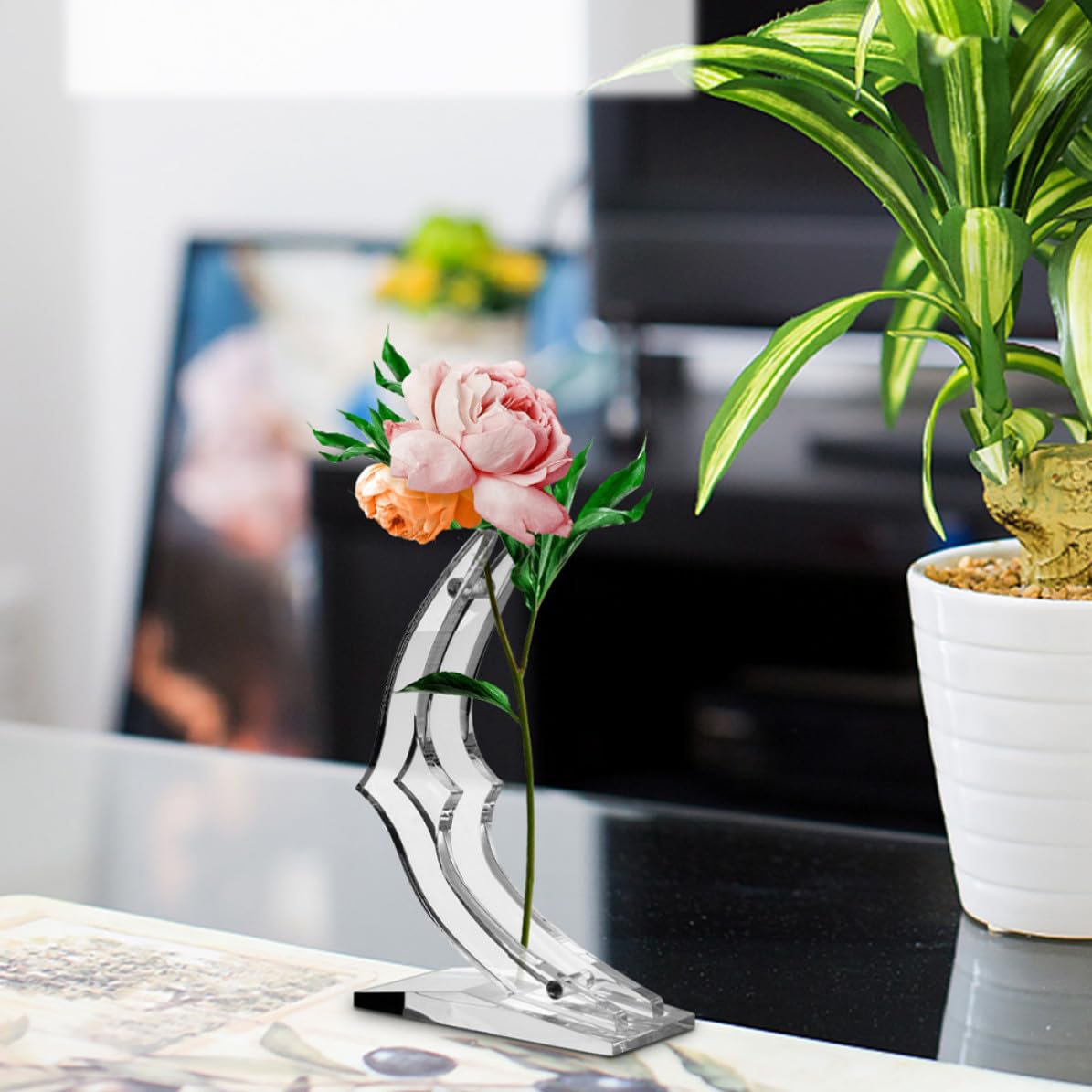 KJHBV 4pcs Acrylic Single Stem Rose Display Stands with Moon-shaped Base, Sturdy Structure Preventing Tipping, Flower Holders for Home Decor and Valentine's Day Floral Arrangements
