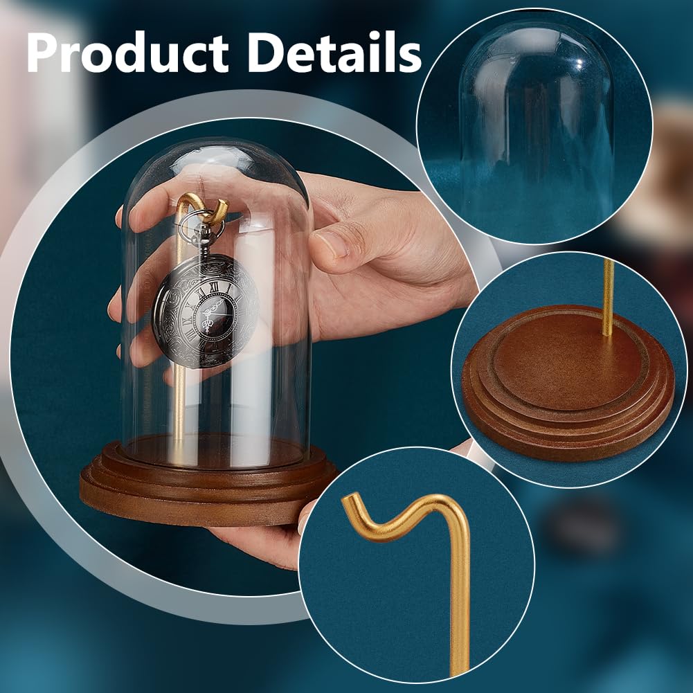 PH PandaHall Pocket Watch Glass Display Dome with Hook 5.7"x4" Watch Display Jar Decorative Watch Case with Base Plants Dome Showcase for Father's Day Pocket Watches Medals Collectibles Ornament