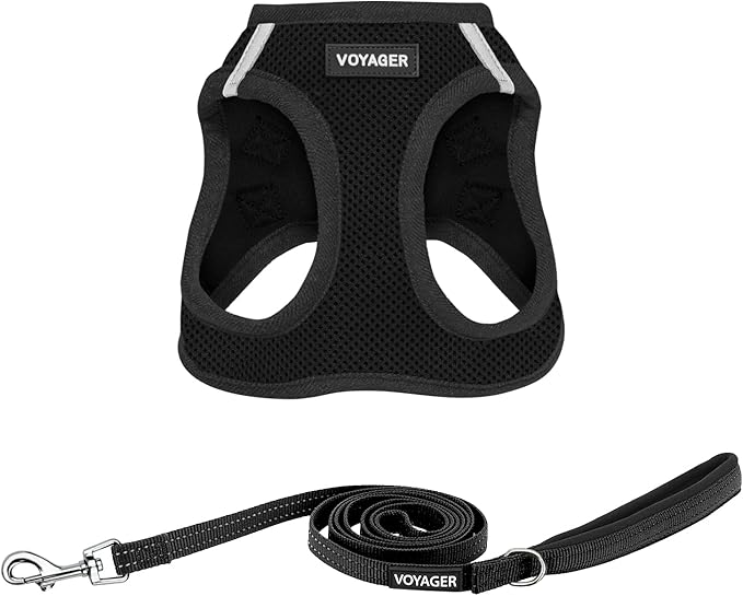 Voyager Step-in Air All Weather Mesh Harness and Reflective Dog 5 ft Leash Combo with Neoprene Handle, for Small, Medium and Large Breed Puppies by Best Pet Supplies - Set (Black), M