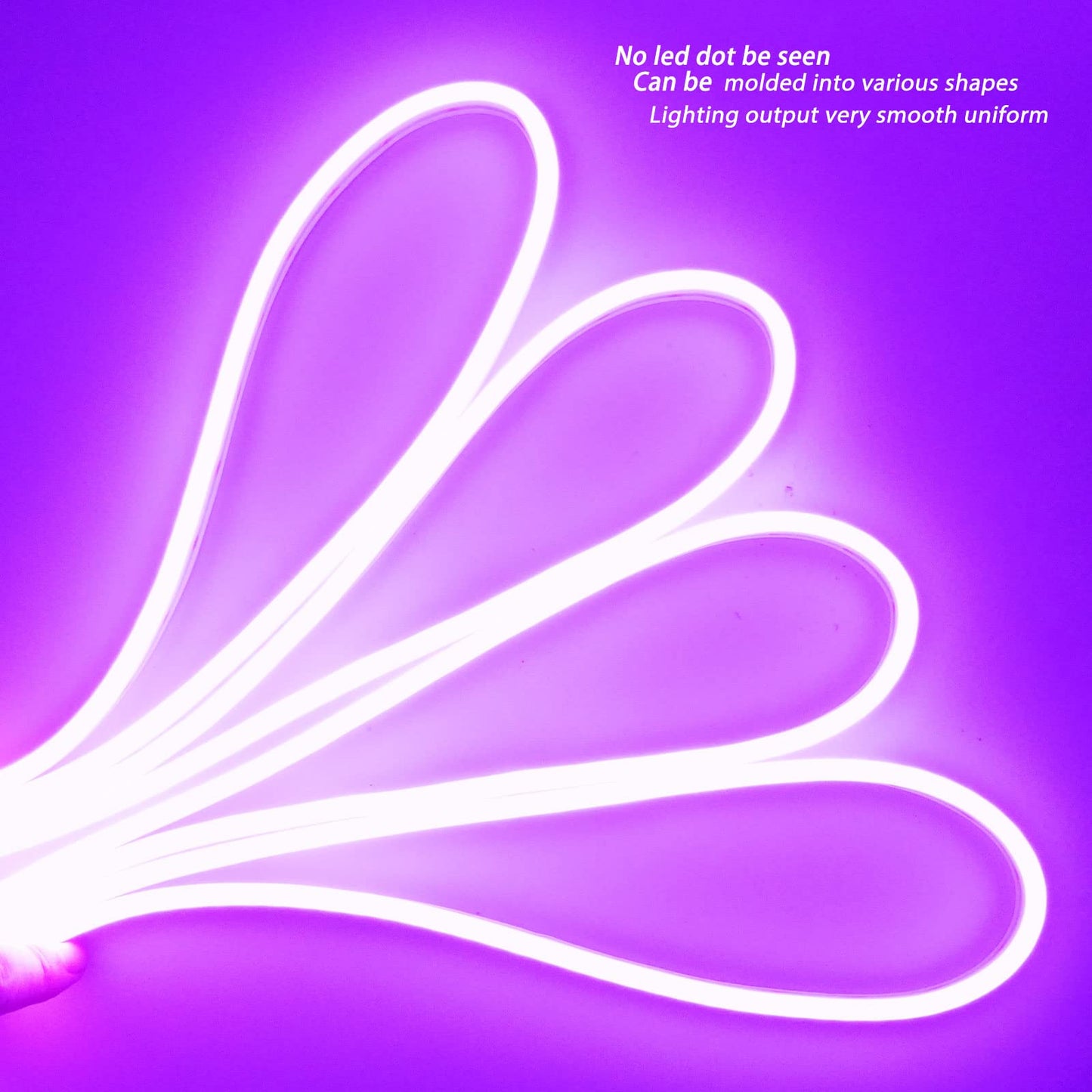 YM E-Bright Purple Led Neon Strip Light Without Power Supply, 5M 16.4Ft 600SMD Silicone Rope Lamp for Signboard Bar Home Building Indoor Outdoor Decoration Waterproof Flexible DC12V