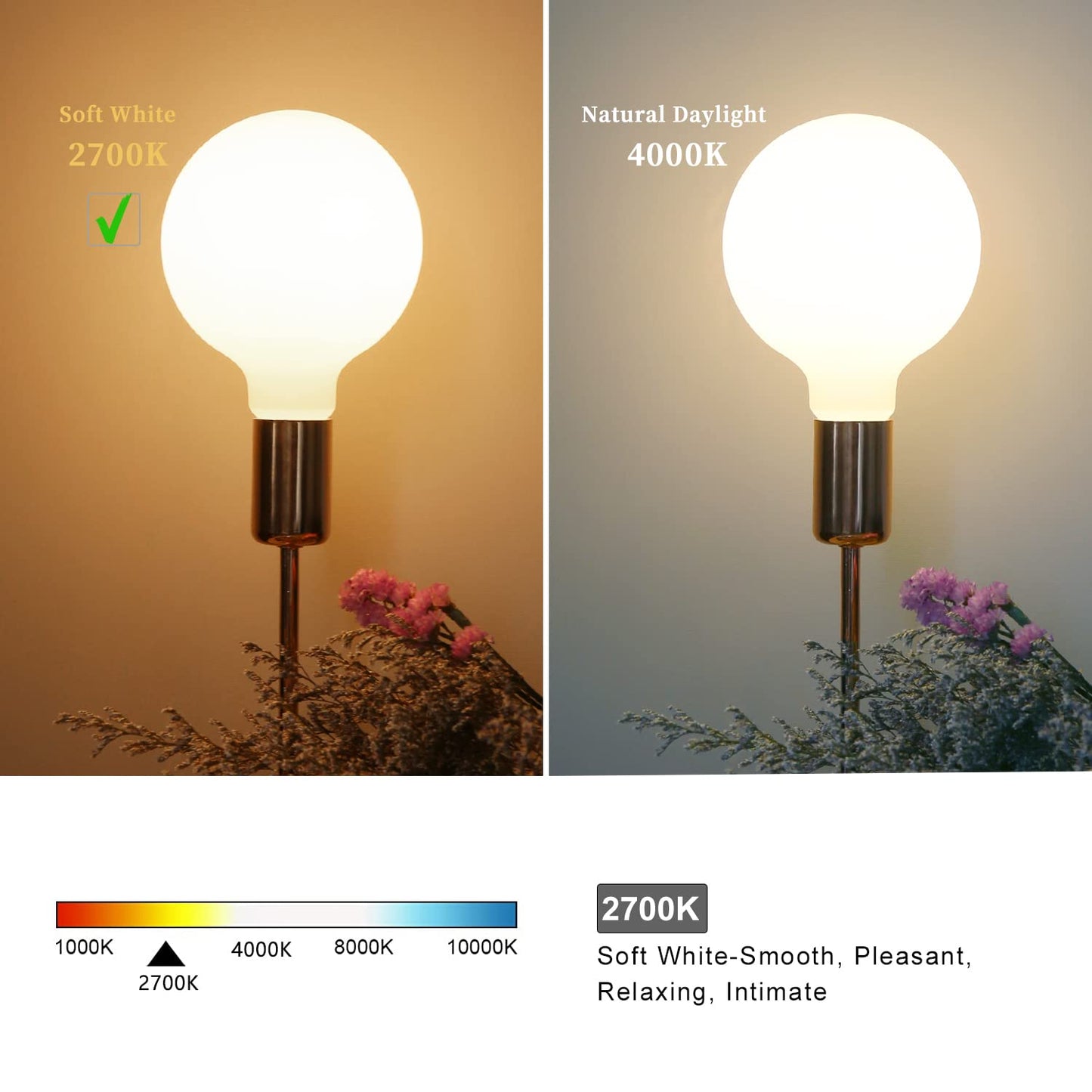 MEILUX 2 Pack G40 Globe LED Light Bulbs, 5.5W Dimmable 50 Watt Equivalent LED Edison Bulbs, Warm White 2700K, 600LM, E26 Base, Milky LED Filament Bulbs for Bathroom Bedroom Living Room