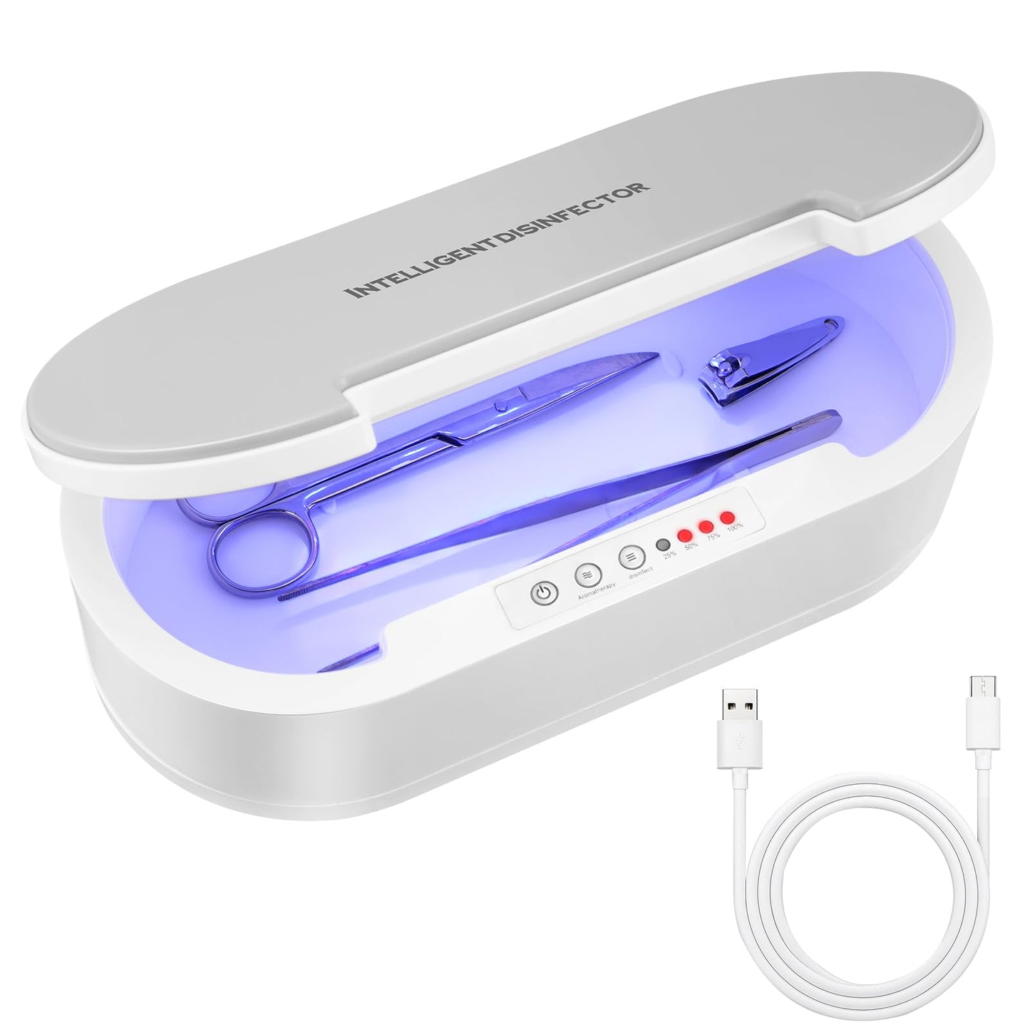 Wbuosz Portable Tool Sterilizer Box USB,Blue Light Cleaning Sterilizating Box for Manicure Salon,Tweezers,Tattoo,Scissors,Jewelry,Phone, Watch,Keys