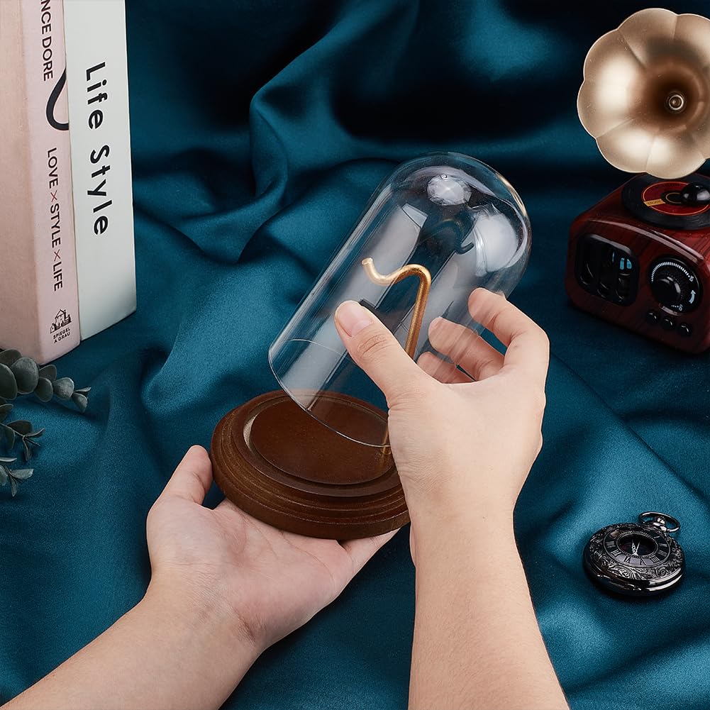 PH PandaHall Pocket Watch Glass Display Dome with Hook 5.7"x4" Watch Display Jar Decorative Watch Case with Base Plants Dome Showcase for Father's Day Pocket Watches Medals Collectibles Ornament