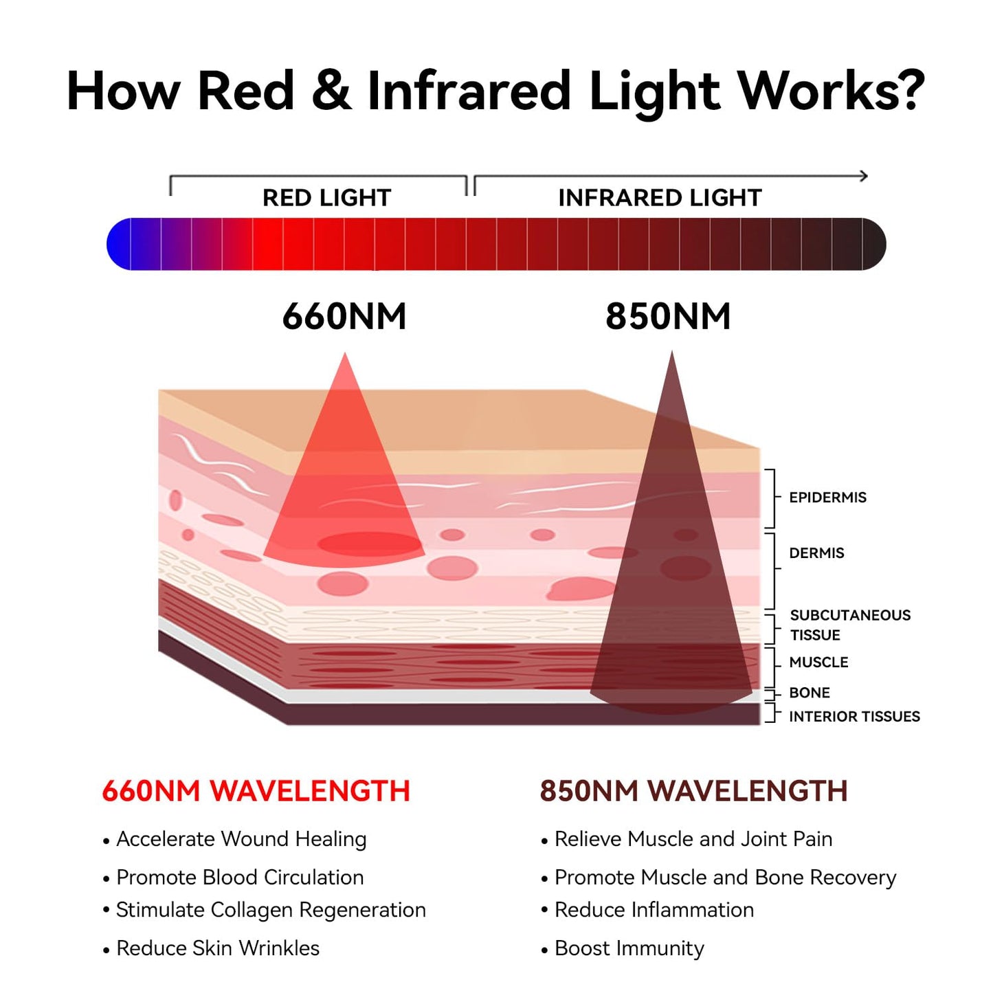 Megelin Red Light Therapy Mat for Whole Body, 3840pcs LED 660nm and 850nm Infrared Light Therapy Device,71''x 32''Large Home Laying Red Light Heating Pad for Whole Full Body Pain Relief