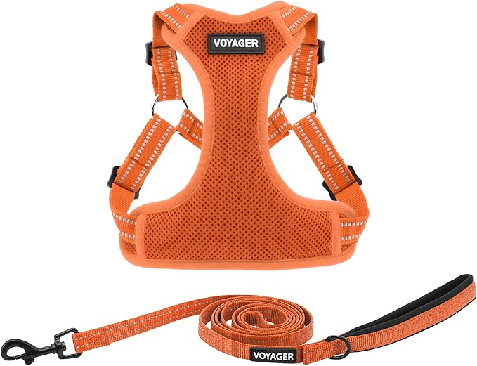 Best Pet Supplies Voyager Mesh Dog Breathable Harness Reflective Stitching, All Weather Adjustable for Walking Training, or Running - Heavy Duty & Durable, Harness Leash Set (Orange), L