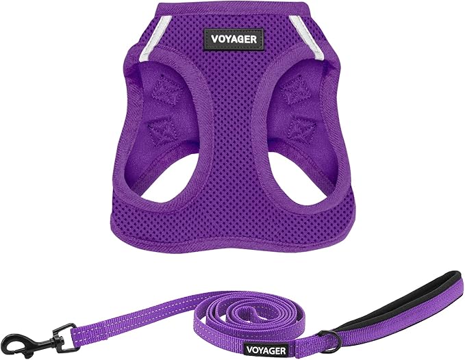 Voyager Step-in Air All Weather Mesh Harness and Reflective Dog 5 ft Leash Combo with Neoprene Handle, for Small, Medium and Large Breed Puppies by Best Pet Supplies - Set (Purple), L