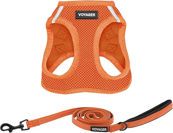 Voyager Step-in Air Cat Harness - All Weather Mesh Step in Vest Harness for Small and Medium Cats by Best Pet Supplies - Harness Leash Set (Orange), XXS