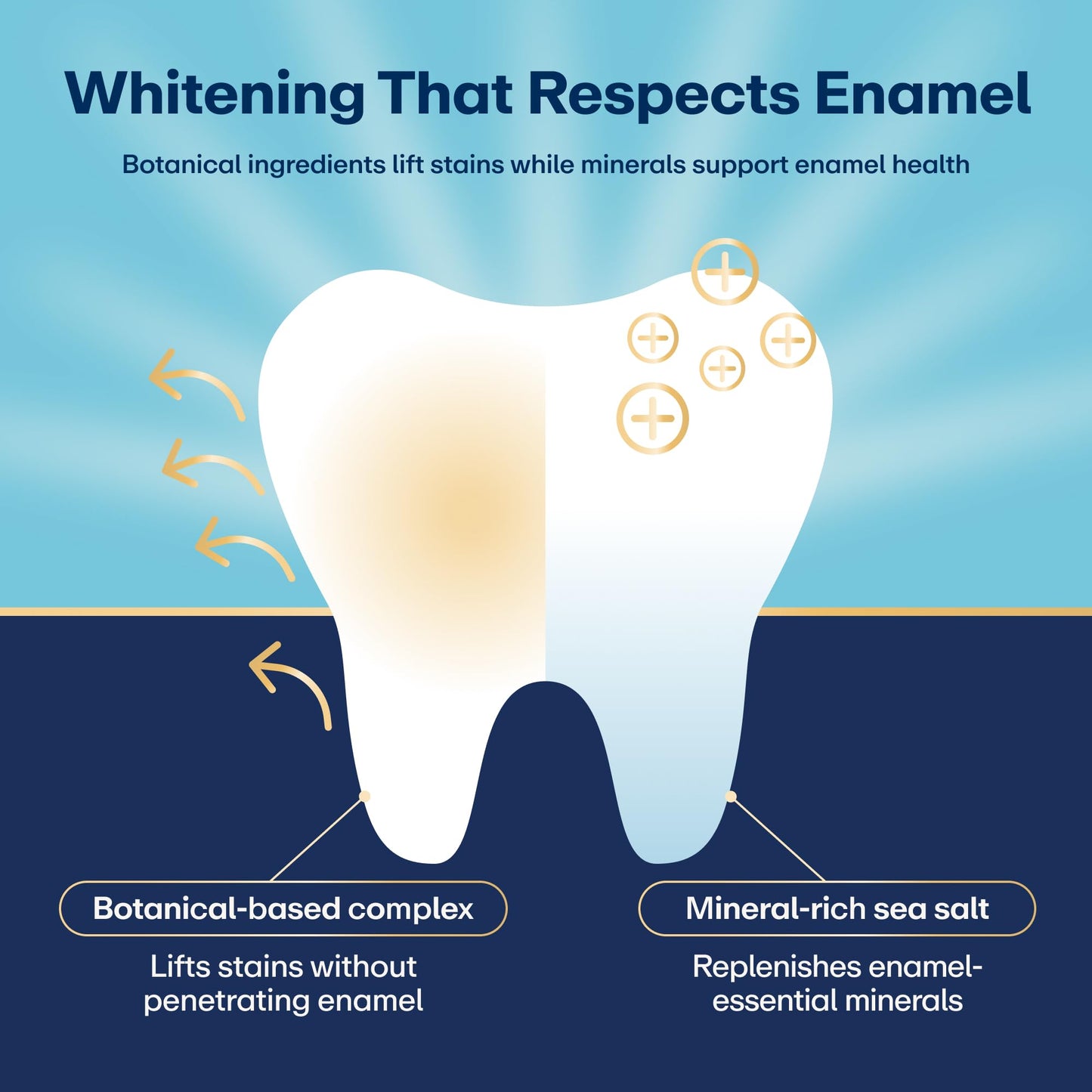 Lumineux 2-in-1 Whitening Pen Enamel Safe and Clinically Proven to Whiten Without The Sensitivity - Removes Coffee, Tea, and Smoking Stains