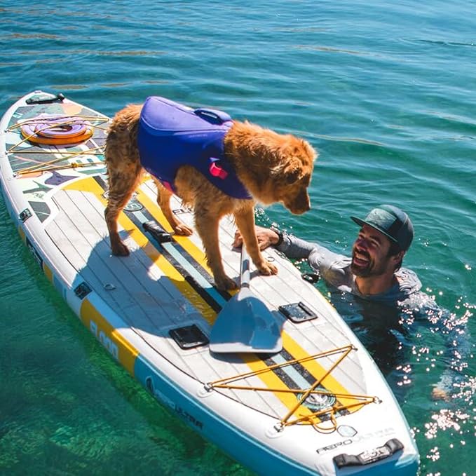 Ruffwear, Float Coat Dog Life Jacket, Premium Buoyancy Swim Vest with Lift Handle, Secure Fit & Reflective Trim, Adjustable Flotation for Swimming, Boating, & Outdoor Adventures, Purple Lily, Small