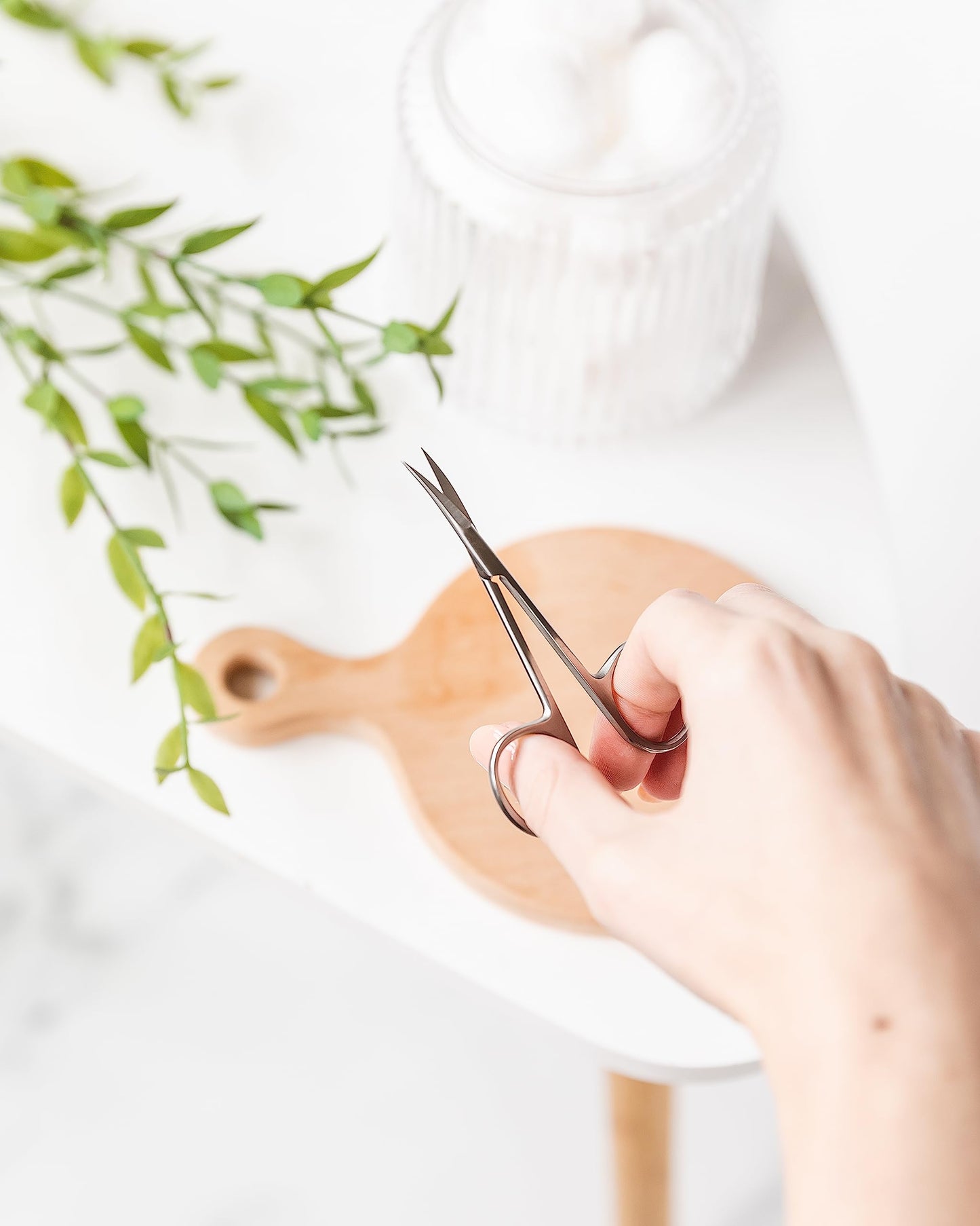 Amazon Basics Beauty Scissors, Stainless Steel, Curved Precision Cutting, Multipurpose Grooming Tool, Easy to Use, Silver