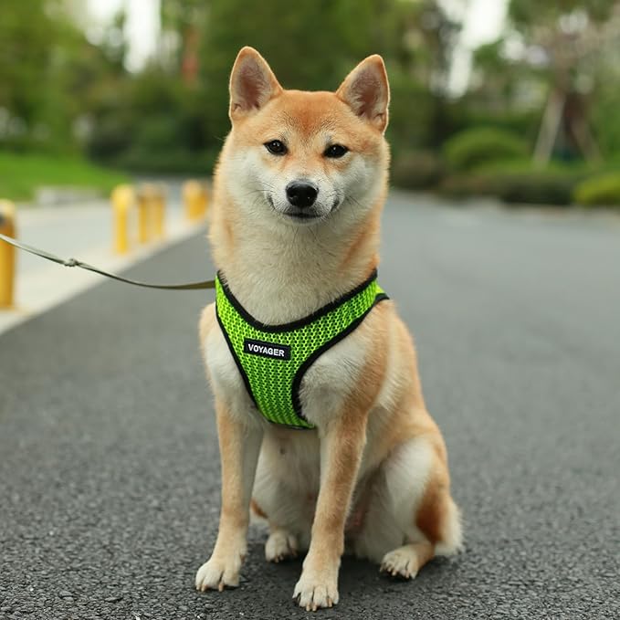 Voyager Step-in Air All Weather Mesh Harness and Reflective Dog 5 ft Leash Combo with Neoprene Handle, for Small, Medium and Large Breed Puppies by Best Pet Supplies - Lime Green (2-Tone), XS
