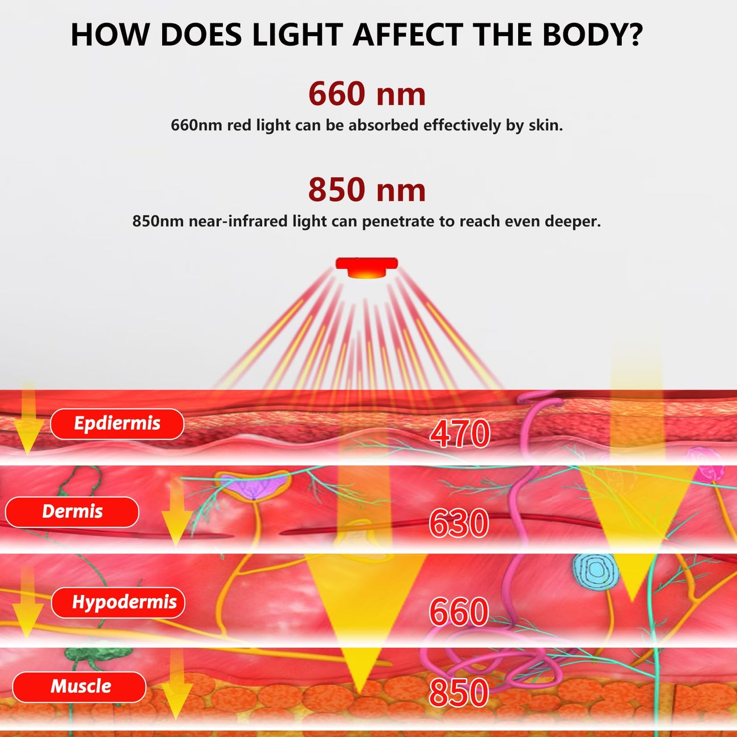 TUOYR Cordless Red Light Therapy for Knee Pain Relief 4000mAh Battery Portable Wireless Near Infrared Light Therapy Devices Wearable Wrap for Arm Elbow Muscle Relax Treatment Pad