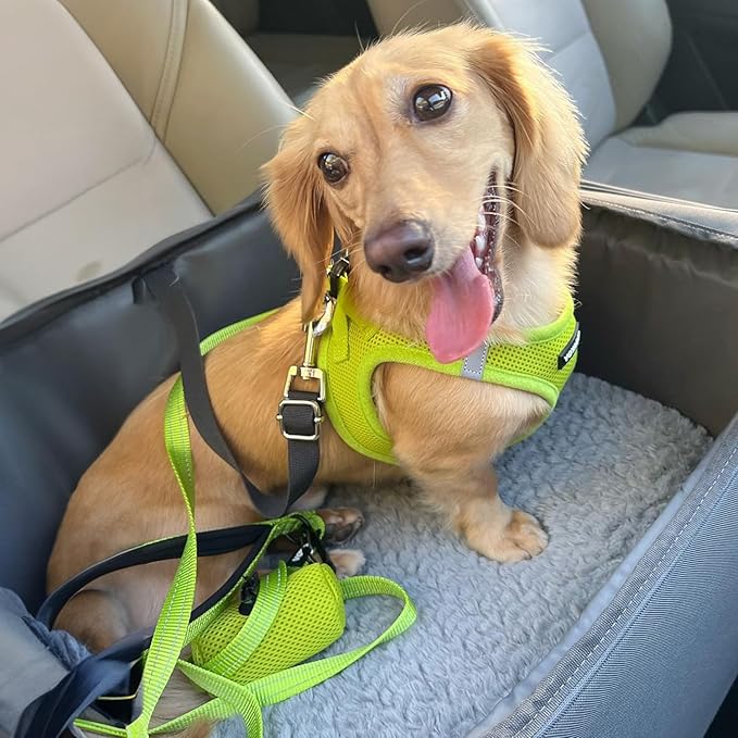 Voyager Step-in Air All Weather Mesh Harness and Reflective Dog 5 ft Leash Combo with Neoprene Handle, for Small, Medium and Large Breed Puppies by Best Pet Supplies - Set (Lime Green), XS