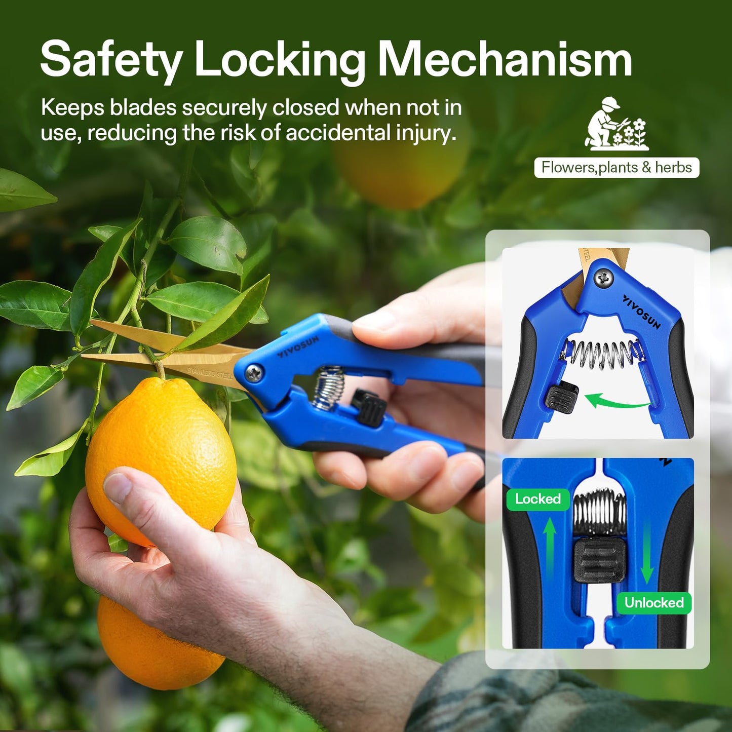 VIVOSUN 6-Pack 6.5 Inch Gardening Scissors Hand Pruner Pruning Shear with Titanium Coated Curved Precision Blades