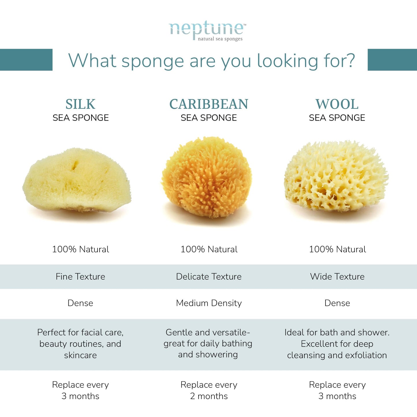 Neptune Caribbean Sea Sponge for Face & Body, Large Approx. 6-7 Inches, Ultra-Soft Bath Sponge, Eco-Friendly & Biodegradable