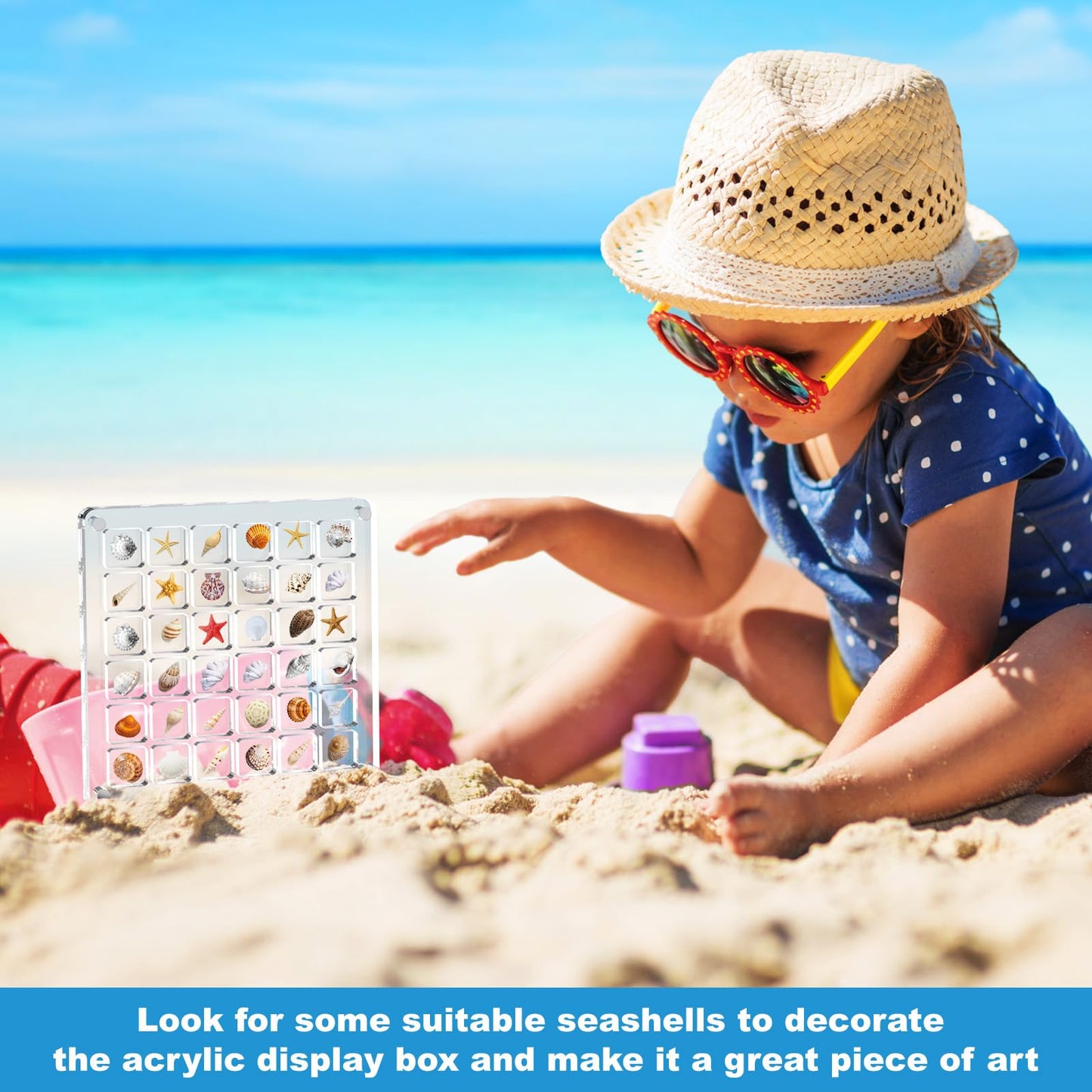 XANGNIER Acrylic Magnetic Seashell Display Box,Clear Sea Shell Display Box,Beach Magnet Storage Organizer Case for Seashell Diamond Beads,72 Grids,Transparent,2 Pack