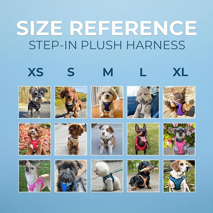 Best Pet Supplies - All Weather Mesh/Plush, Reflective, No Pull Harness for Small, Medium Dogs, Cats - Secure with Hook & Loop Fastener, Buckle, Double D-Rings - Chocolate Suede, M
