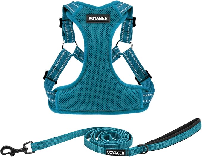 Best Pet Supplies Voyager Mesh Dog Breathable Harness Reflective Stitching, All Weather Adjustable for Walking Training, or Running - Heavy Duty & Durable, Harness Leash Set (Turquoise), M