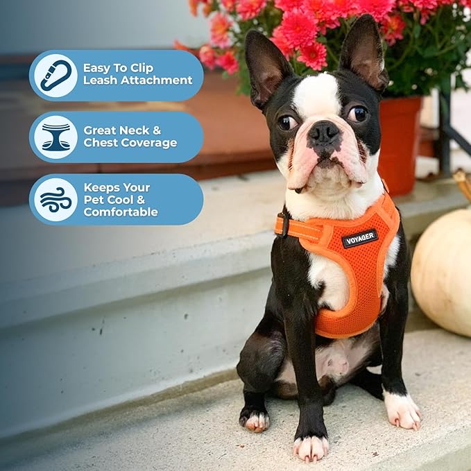 Best Pet Supplies Voyager Mesh Dog Breathable Harness Reflective Stitching, All Weather Adjustable for Walking Training, or Running - Heavy Duty & Durable, Harness Leash Set (Orange), S