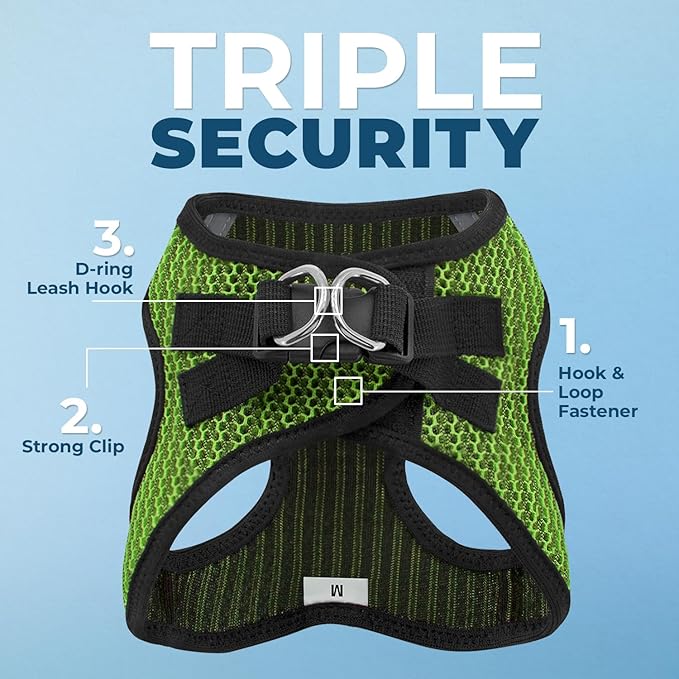 Voyager Step-in Air All Weather Mesh Harness and Reflective Dog 5 ft Leash Combo with Neoprene Handle, for Small, Medium and Large Breed Puppies by Best Pet Supplies - Lime Green (2-Tone), M