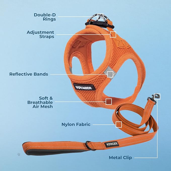 Voyager Step-in Air All Weather Mesh Harness and Reflective Dog 5 ft Leash Combo with Neoprene Handle, for Small, Medium and Large Breed Puppies by Best Pet Supplies - Set (Orange), S