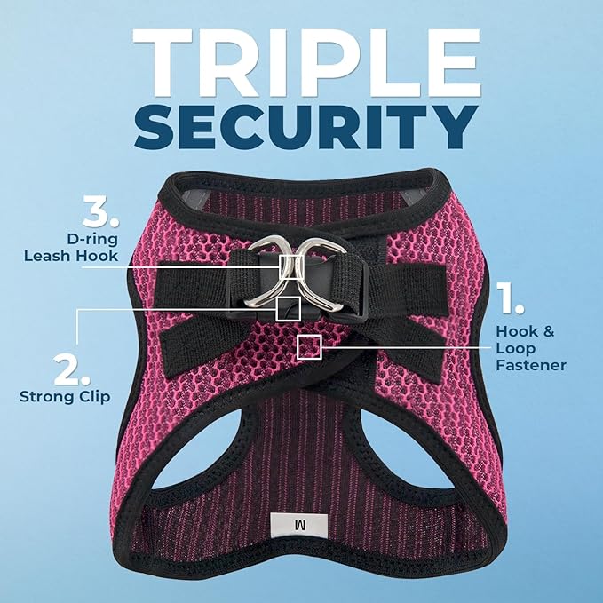 Voyager Step-in Air All Weather Mesh Harness and Reflective Dog 5 ft Leash Combo with Neoprene Handle, for Small, Medium and Large Breed Puppies by Best Pet Supplies - Fuchsia (2-Tone), S