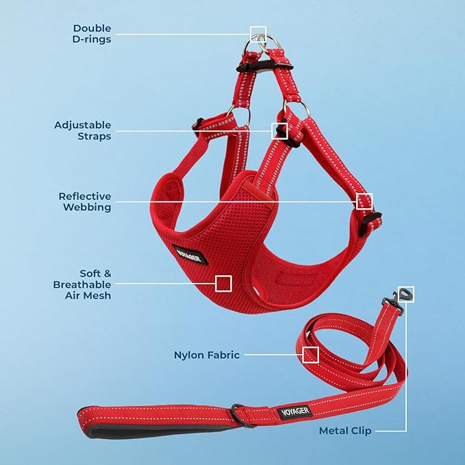 Best Pet Supplies Voyager Mesh Dog Breathable Harness Reflective Stitching, All Weather Adjustable for Walking Training, or Running - Heavy Duty & Durable, Harness Leash Set (Red), M