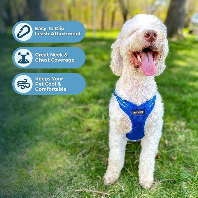 Best Pet Supplies Voyager Mesh Dog Breathable Harness Reflective Stitching, All Weather Adjustable for Walking Training, or Running - Heavy Duty & Durable, Harness Leash Set (Royal Blue), XL
