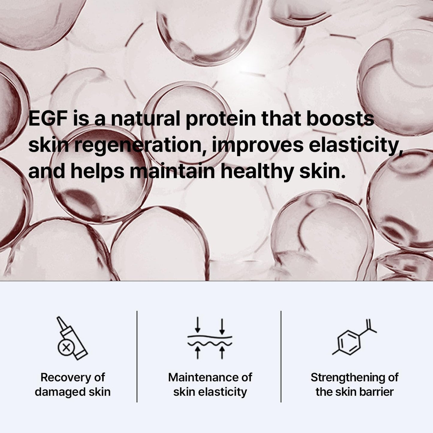 FRANZ Skincare Vegan EGF Intensive Volume Ampoule for Face - Pure 10ppm EGF Peptide Serum for Firming, Wrinkle Care & Daily Skin Revitalization - Clean K-Beauty (1ml, 0.034 fl. oz.)