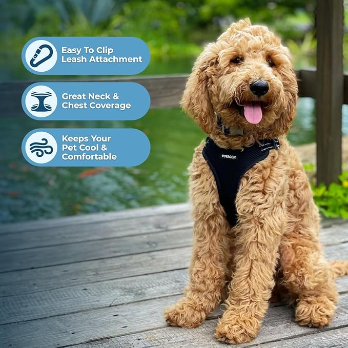 Best Pet Supplies Voyager Mesh Dog Breathable Harness Reflective Stitching, All Weather Adjustable for Walking Training, or Running - Heavy Duty & Durable, Harness (Black), M