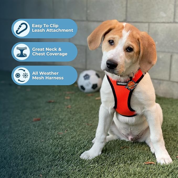 Voyager Step-in Air All Weather Mesh Harness and Reflective Dog 5 ft Leash Combo with Neoprene Handle, for Small, Medium and Large Breed Puppies by Best Pet Supplies - Orange/Black Trim, Medium