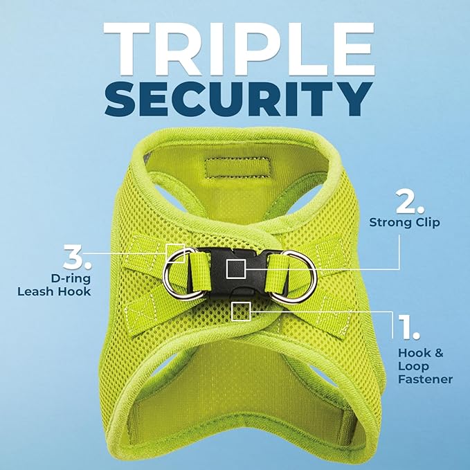 Voyager Step-in Air All Weather Mesh Harness and Reflective Dog 5 ft Leash Combo with Neoprene Handle, for Small, Medium and Large Breed Puppies by Best Pet Supplies - Set (Lime Green), M