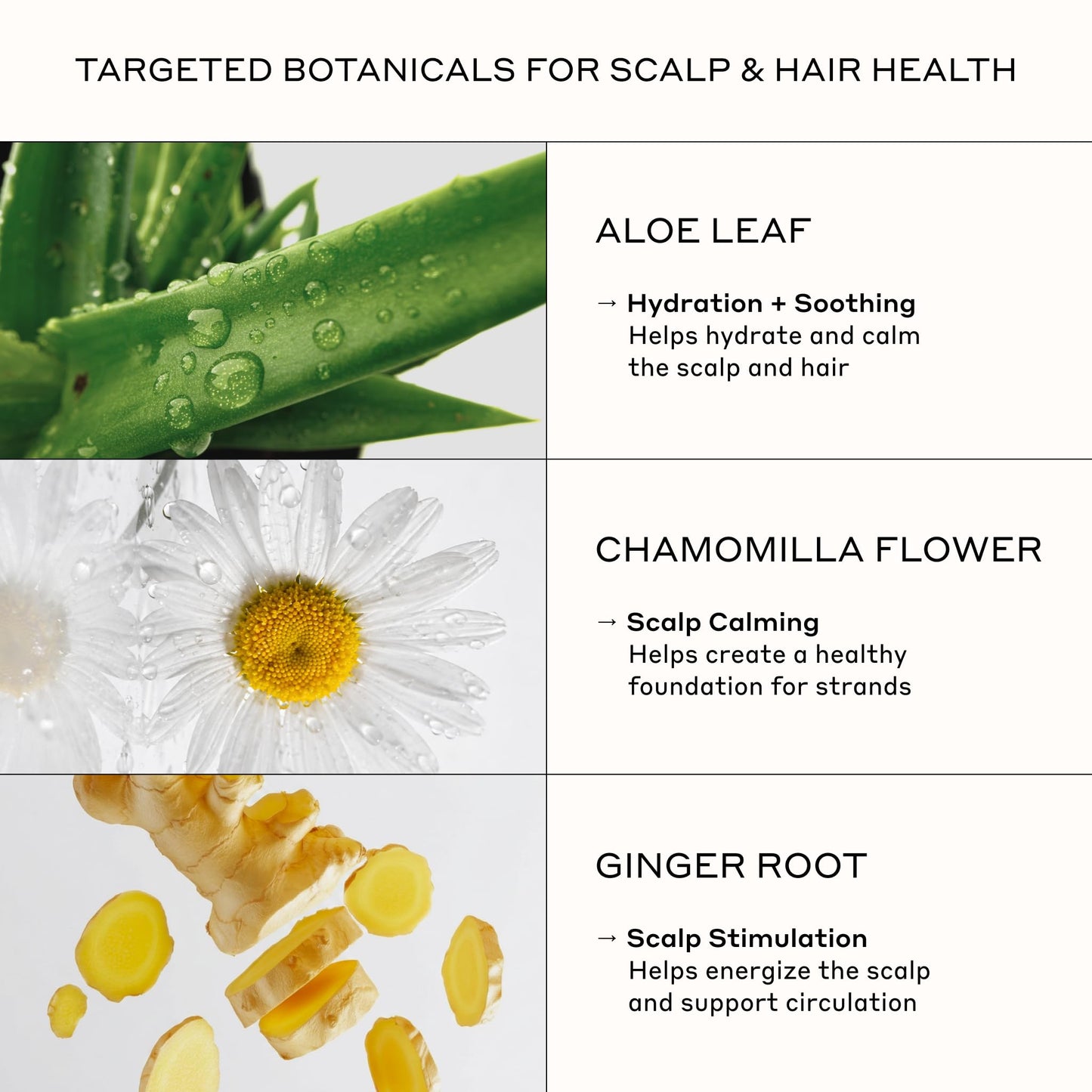 ZENAGEN Revolve Conditioner (Unisex) | Supports Scalp Health & Appearance of Fuller, Healthier Hair, Developed for Fine & Visibly Thinning Hair, Plant-Based, Color-Safe, Vegan, 200 mL / 6.75 oz