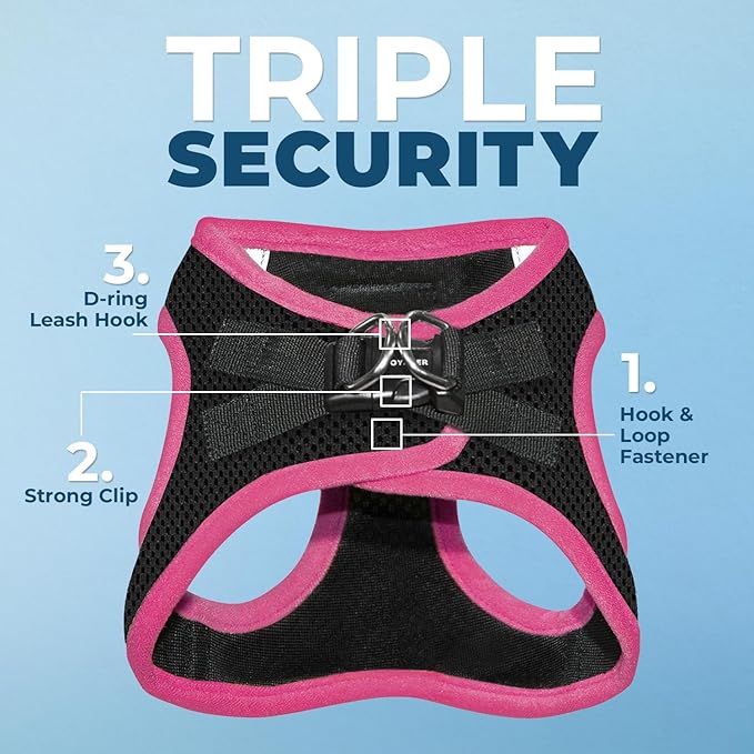 Voyager Step-in Air All Weather Mesh Harness and Reflective Dog 5 ft Leash Combo with Neoprene Handle, for Small, Medium and Large Breed Puppies by Best Pet Supplies - Black/Pink Trim, Small