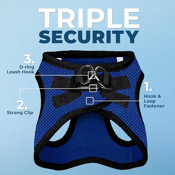 Voyager Step-in Air All Weather Mesh Harness and Reflective Dog 5 ft Leash Combo with Neoprene Handle, for Small, Medium and Large Breed Puppies by Best Pet Supplies - Royal Blue/Black Trim, Small