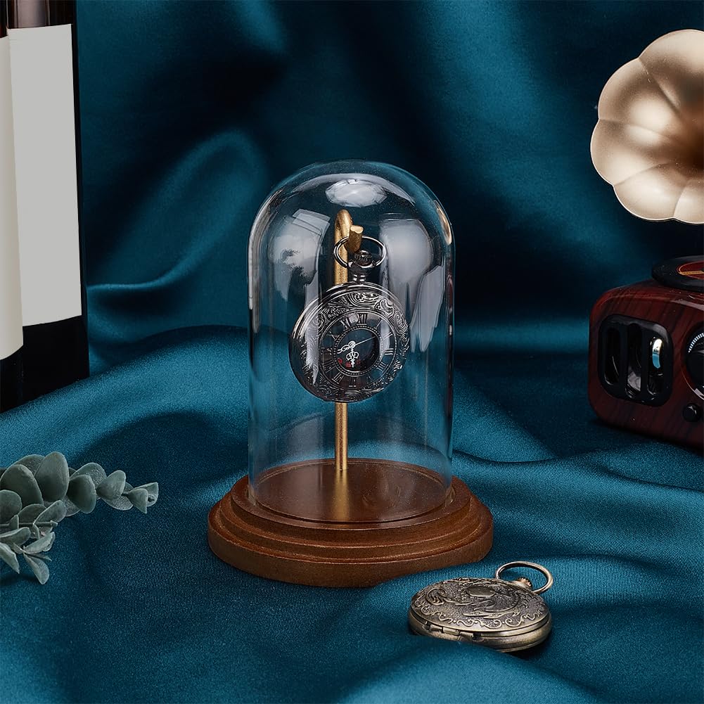 PH PandaHall Pocket Watch Glass Display Dome with Hook 5.7"x4" Watch Display Jar Decorative Watch Case with Base Plants Dome Showcase for Father's Day Pocket Watches Medals Collectibles Ornament