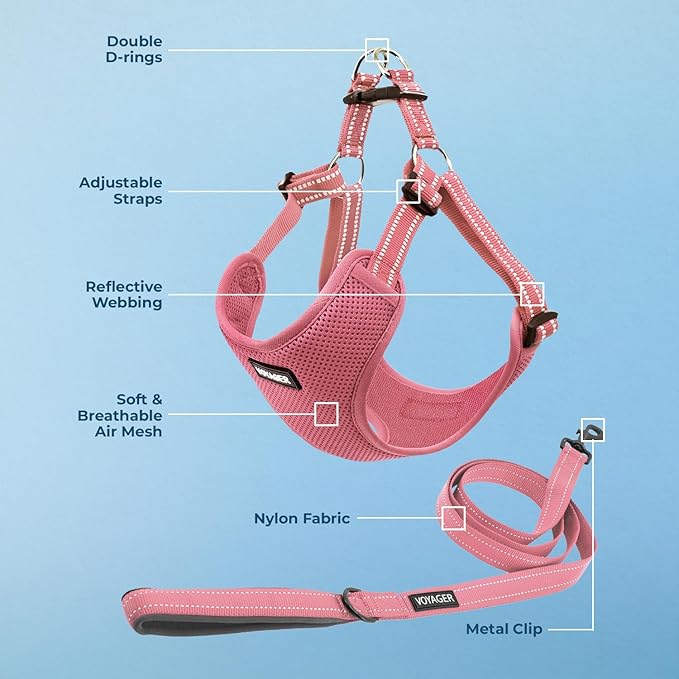 Best Pet Supplies Voyager Mesh Dog Breathable Harness Reflective Stitching, All Weather Adjustable for Walking Training, or Running - Heavy Duty & Durable, Harness Leash Set (Pink), XS