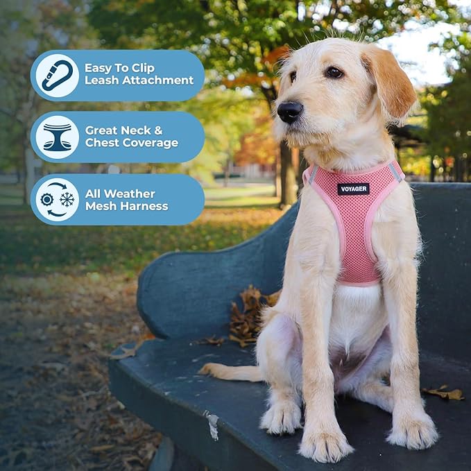 Voyager Step-in Air All Weather Mesh Harness and Reflective Dog 5 ft Leash Combo with Neoprene Handle, for Small, Medium and Large Breed Puppies by Best Pet Supplies - Set (Pink), S