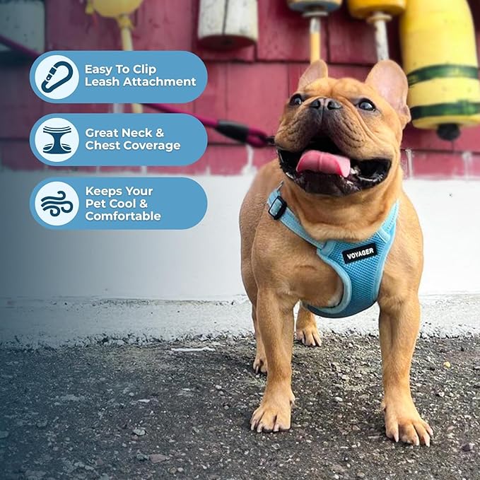 Best Pet Supplies Voyager Mesh Dog Breathable Harness Reflective Stitching, All Weather Adjustable for Walking Training, or Running - Heavy Duty & Durable, Harness (Baby Blue), M