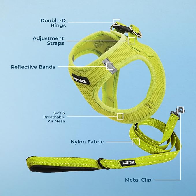 Voyager Step-in Air All Weather Mesh Harness and Reflective Dog 5 ft Leash Combo with Neoprene Handle, for Small, Medium and Large Breed Puppies by Best Pet Supplies - Set (Lime Green), XS